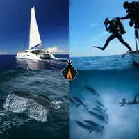 faire des activités aquatiques à la réunion