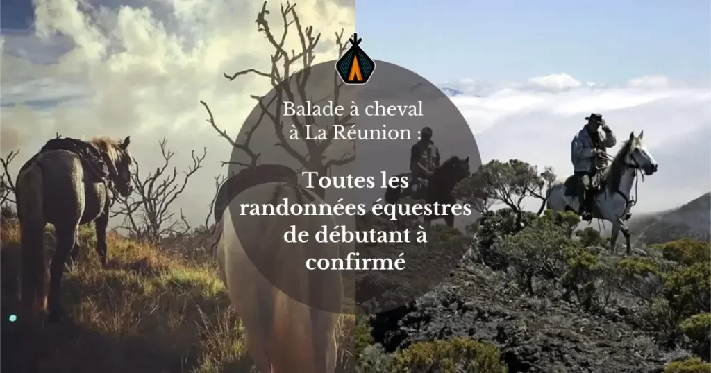 Balade_a_cheval_La_Reunion