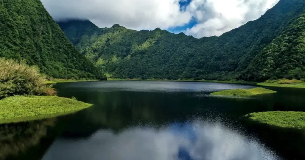 bivouac grand étang réunion