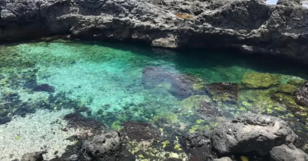 Pointe au sel saint leu réunion