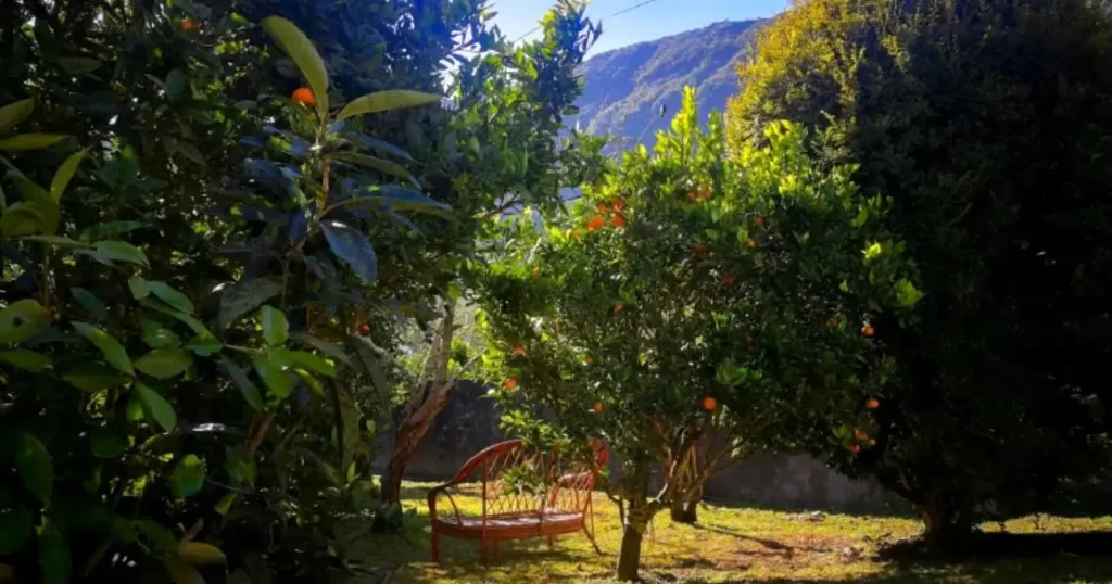 gite_Chez_Paule_et_Jo_dans_le_petit_village_de_Dos_d_ane