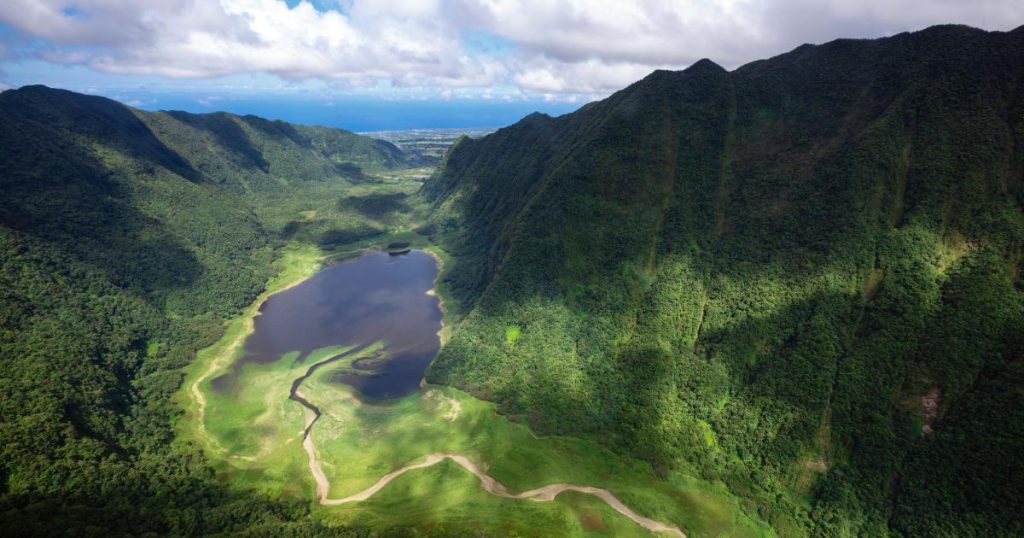 la réunion en juin