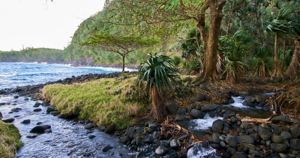 la réunion moi de juillet