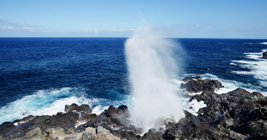 que faire à saint leu la réunion