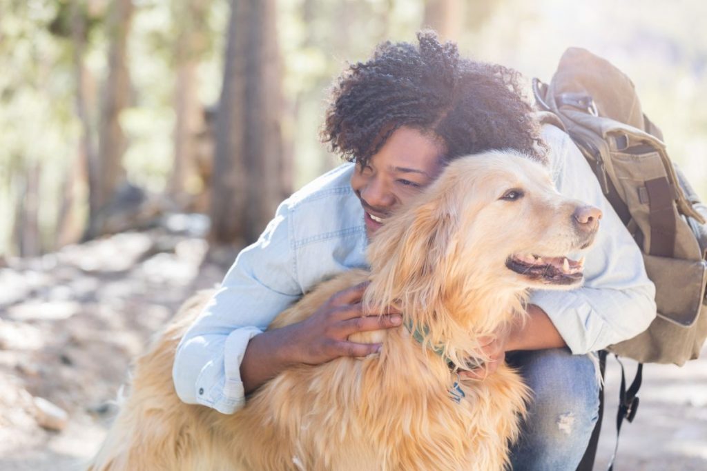 choses à faire avec un chien à la réunion